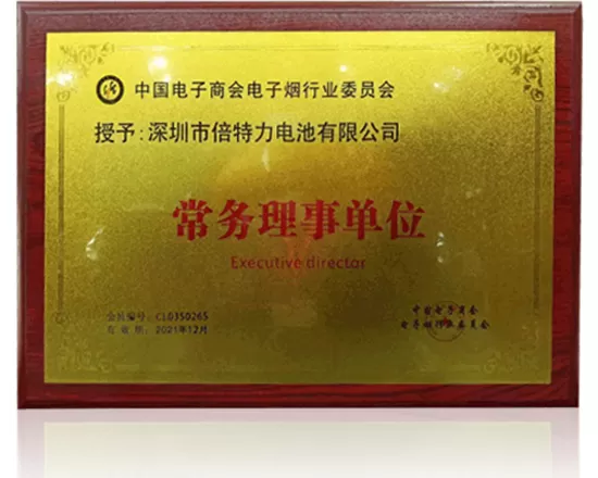 Executive Director Unit of China Electronic Cigarette Association