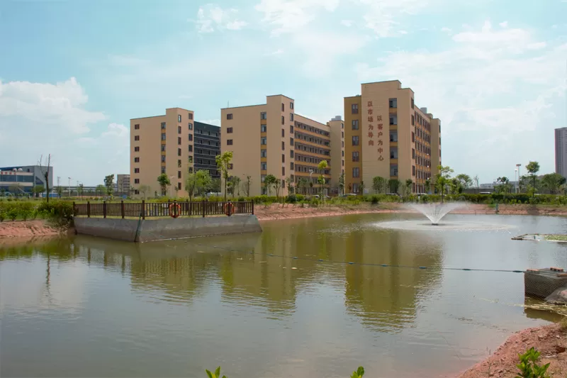 li polymer manufacturer