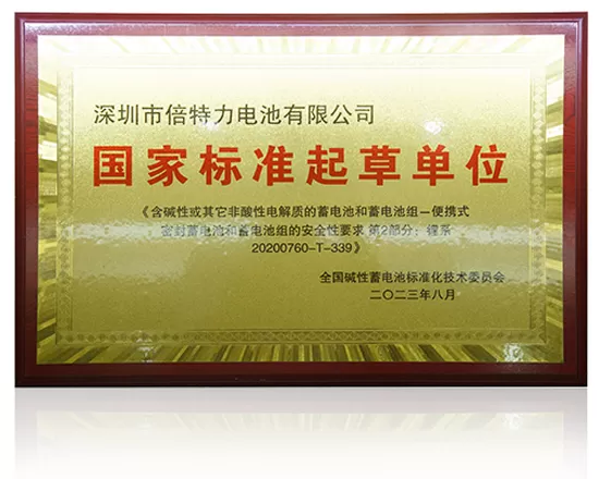 National Standard Drafting Unit